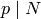 p \mid N