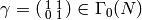 \gamma=\abcd{1}{1}{0}{1}\in \Gamma_0(N)