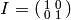 I=\abcd{1}{0}{0}{1}