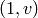 (1,v)