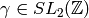 \gamma \in SL_2(\Z)