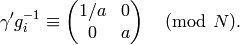 \gamma' g_i^{-1} \con \mtwo{1/a}{0}{0}{a}\pmod{N}.