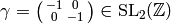 \gamma = \abcd{-1}{0}{0}{-1} \in \SL_2(\Z)