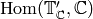 \Hom(\T'_{\C},\C)
