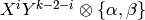 X^{i}Y^{k-2-i}\tensor \{\alpha,\beta\}