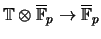 $ \mathbb{T}\otimes \overline{\mathbb{F}}_p\rightarrow \overline{\mathbb{F}}_p$