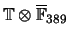 $ \mathbb{T}\otimes \overline{\mathbb{F}}_{389}$