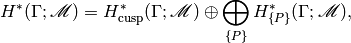H^{*} (\Gamma ; \MMM) = H^{*}_{\text{cusp}} (\Gamma ;
\MMM)\oplus\bigoplus_{\{P \}}H^{*}_{\{P \}} (\Gamma ; \MMM),