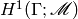 H^{1} (\Gamma ; \MMM)