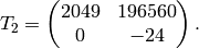 T_2 = \mtwo{2049}{196560}{0}{-24}.