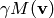 \gamma M (\vv)