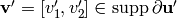 \vv ' = [v_{1}',v_{2}']\in \support \partial \uu'