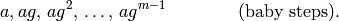 a, ag,\, ag^2,\, \ldots, \,
ag^{m-1}\qquad\qquad\text{(baby steps)}.