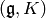 (\fg , K)