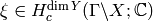 \xi \in H_{c}^{\dim Y} (\Gamma
\backslash X; \C)