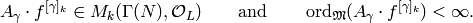 A_\gamma \cdot f^{[\gamma]_k} \in M_k(\Gamma(N), \O_L)
\qquad \text{and}
\qquad \ord_{\wM} (A_{\gamma} \cdot f^{[\gamma]_k}) < \infty.