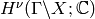 H^{\nu} (\Gamma \backslash
X; \C)