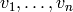 v_{1},\dotsc ,v_{n}