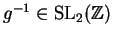 $ g^{-1}\in\SL_2(\mathbb{Z})$