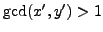 $ \gcd(x',y')>1$