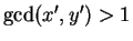 $ \gcd(x',y')>1$