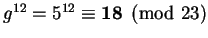 $ g^{12} = 5^{12} \equiv \mathbf{18}
\pmod{23}$