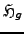 $ \mathfrak{H}_g$