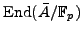$ {\mathrm{End}}(\bar{A}/\mathbb{F}_p)$