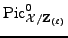 $ {\rm Pic}^0_{\mathcal{X}/{{\bf {Z}}_{(\ell)}}}$