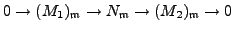 $ (M_1)_\mathfrak{m}$