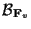 $ \mathcal{B}_{\mathbf{F}_v}$
