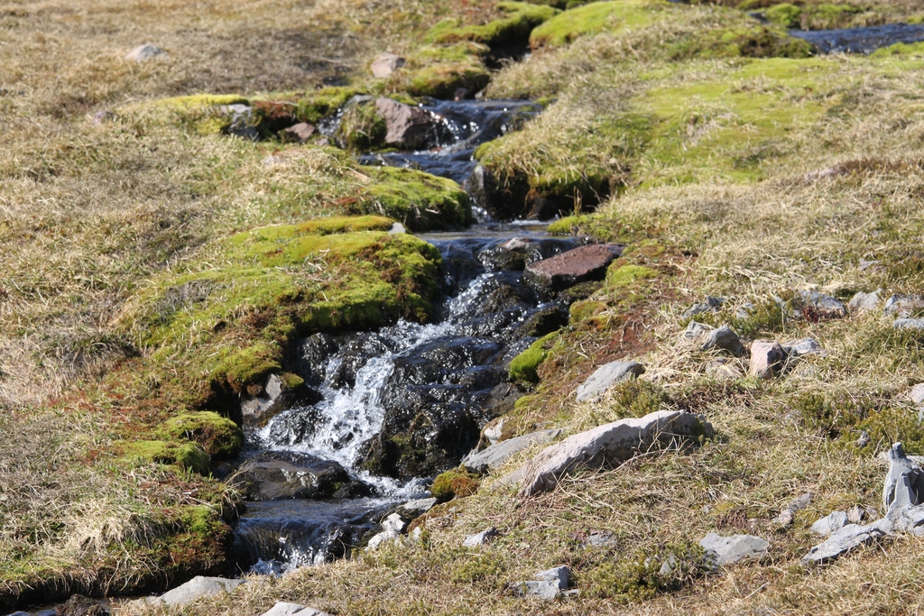 Mountain stream near Mount Rainier
